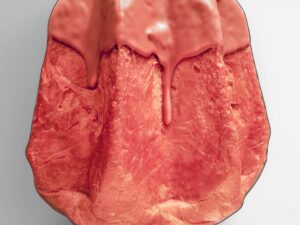 pandoro classico con crema spalmabile alla nocciola